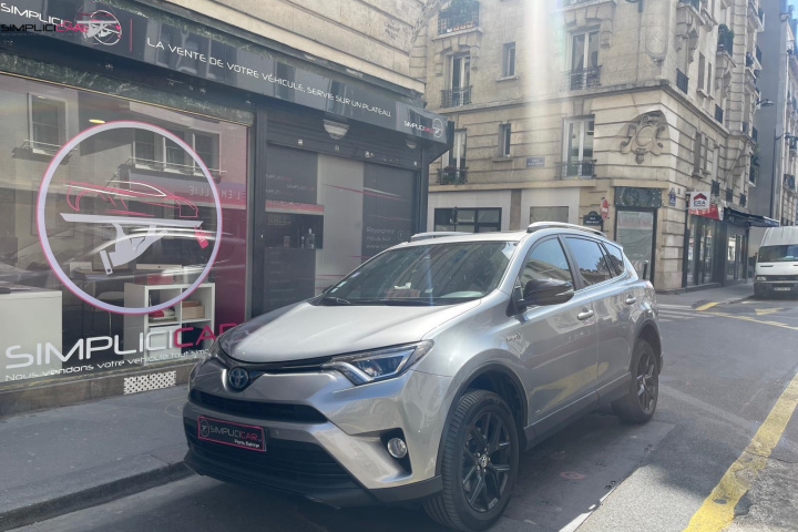 TOYOTA RAV4 HYBRIDE 2018 PRO